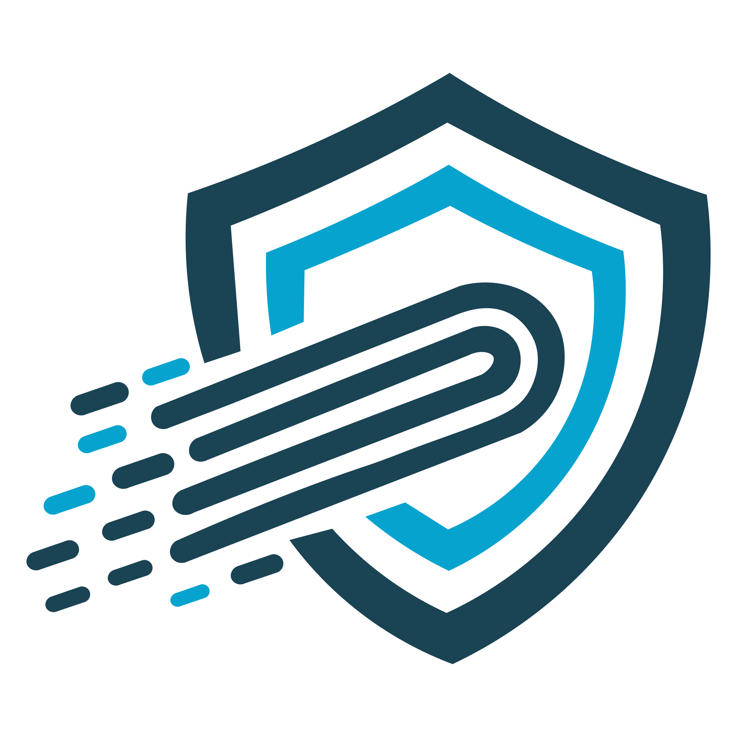 BimaFast Logo